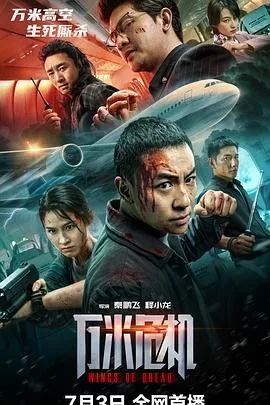 万米危机（2026）电影4K下载 | 夸克/百度/迅雷 - 网盘搭子封面